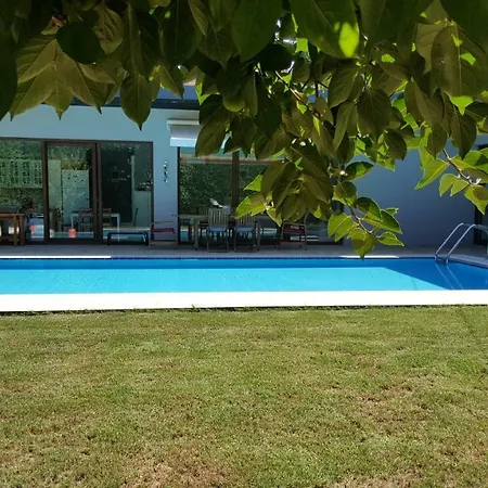 Seven Villa *